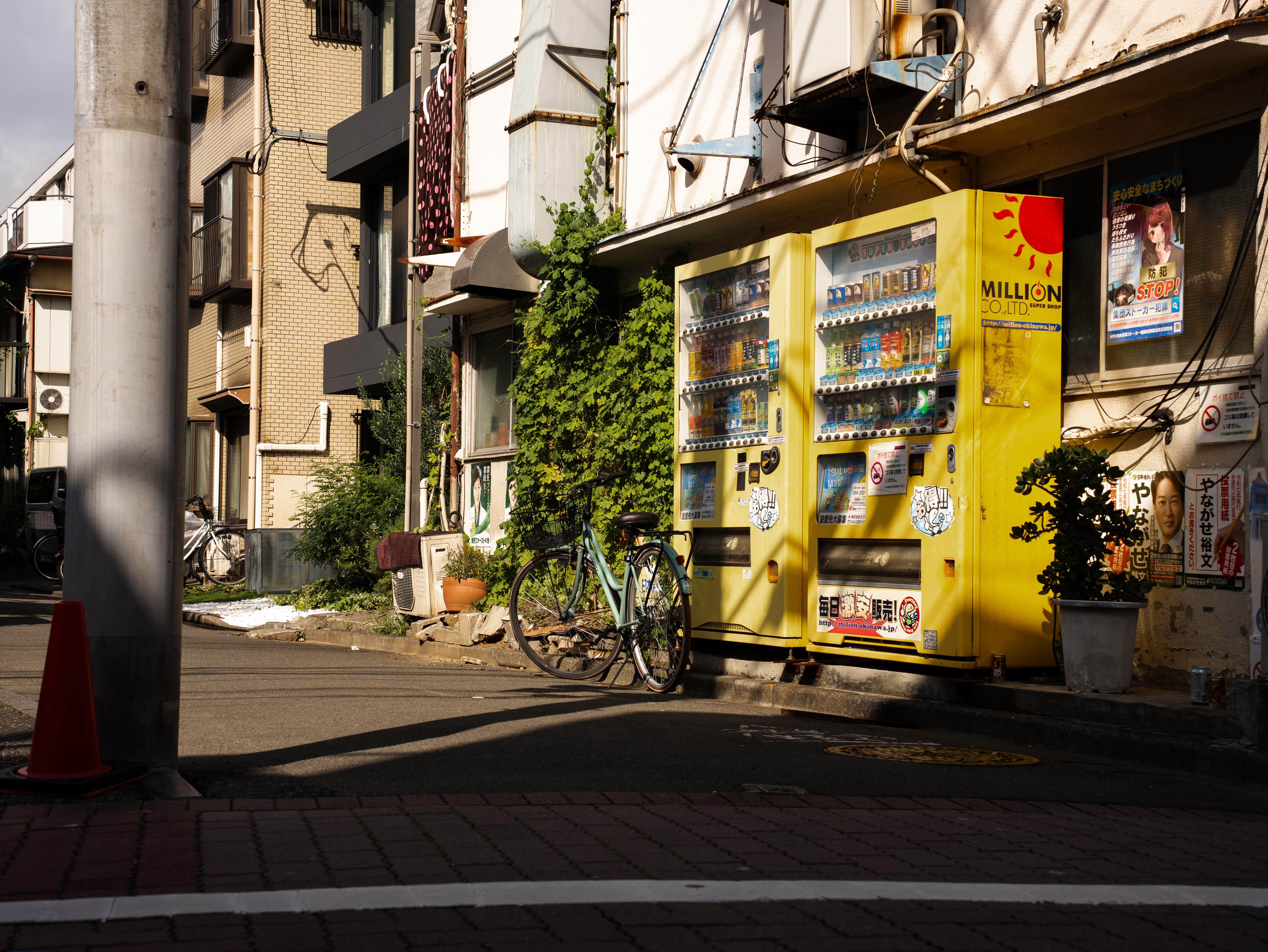 Tokyo Through My Lens